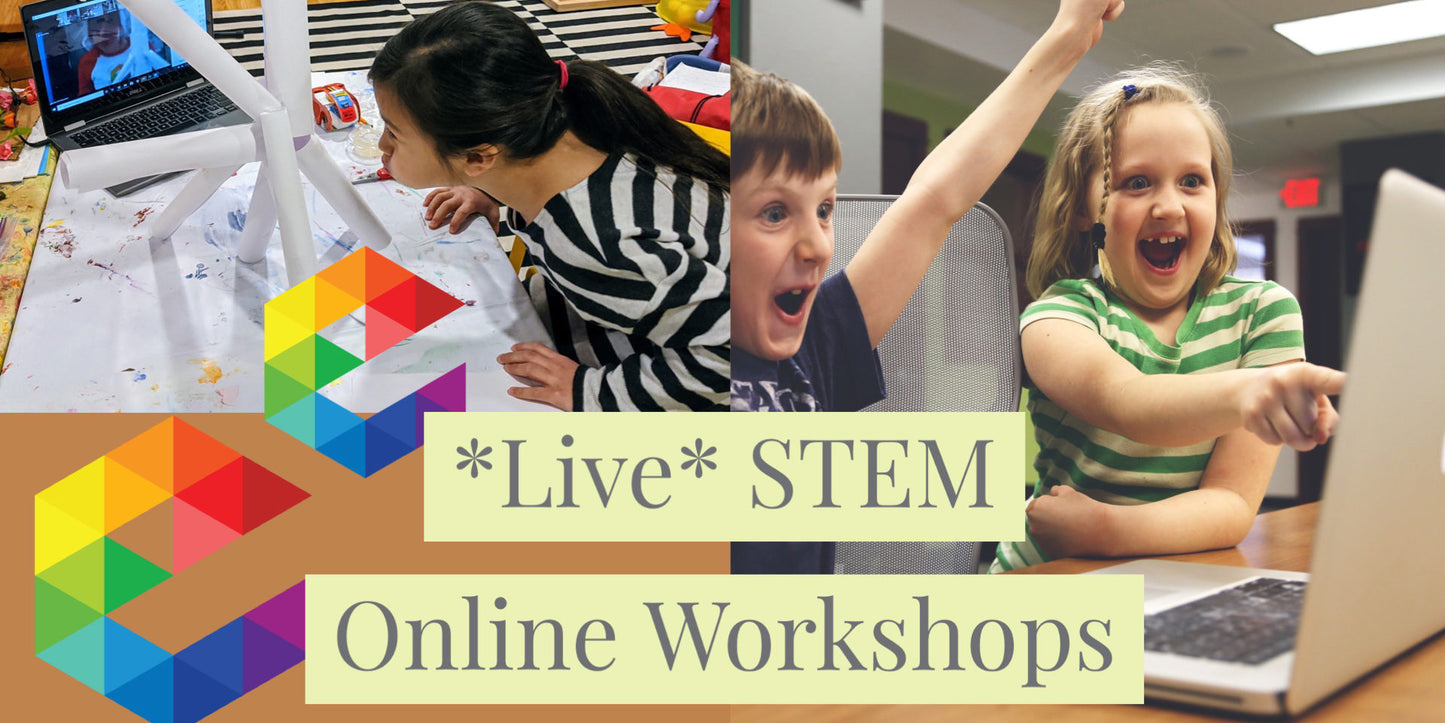 STEM Online Workshops